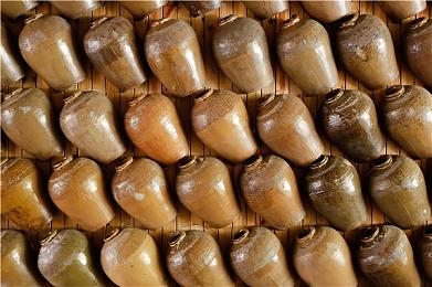 年度独立竞争者《动物井》现已登陆Xbox Series平台